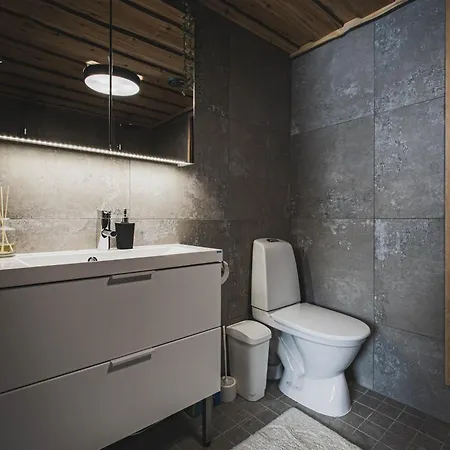 别墅 Talvihovi 5 *