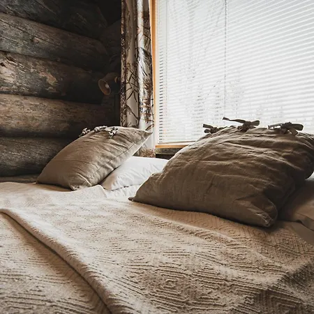 别墅 Talvihovi 5 *